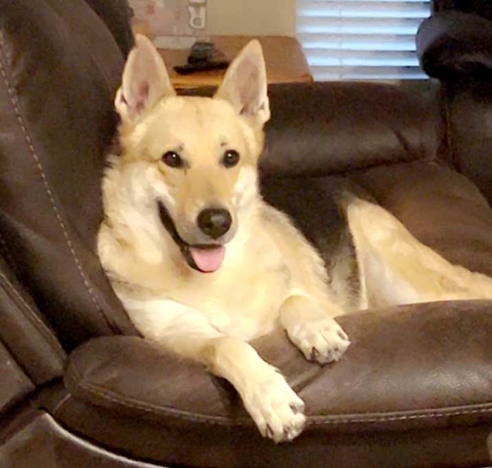 Photo of Duchess