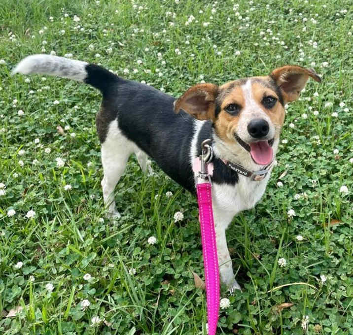 Photo of Percilla