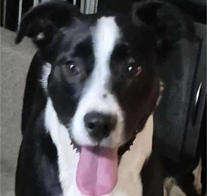 Photo of Clyde