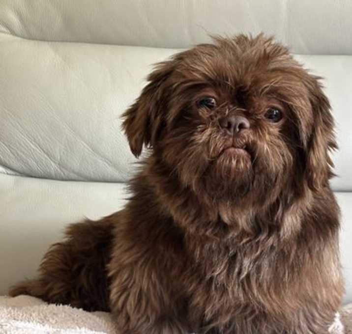 Photo of Molly D6064