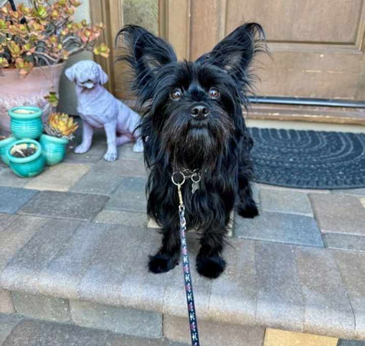 Photo of Lucille
