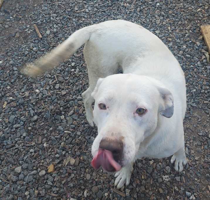 Photo of Casper