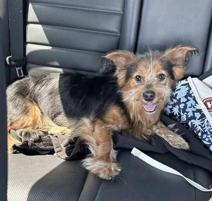 Photo of Maverick