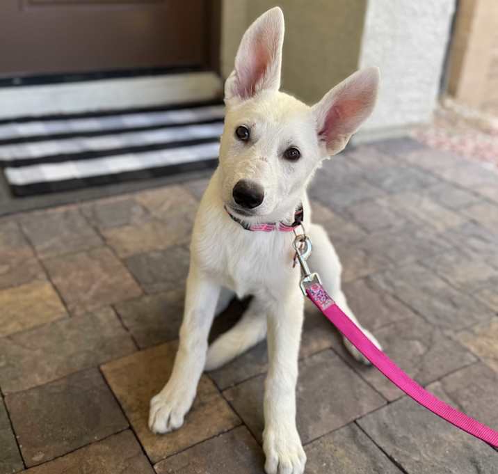 Photo of Elsa