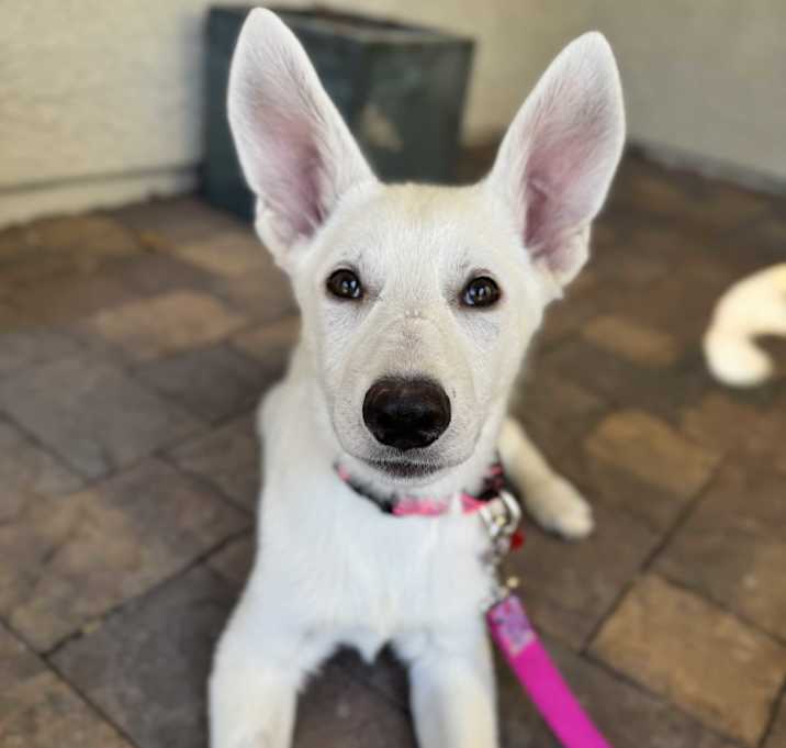 Elsa Photo #2