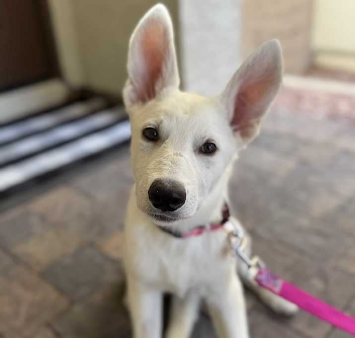 Elsa Photo #3