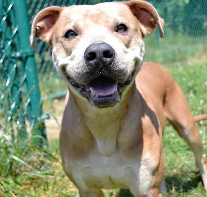 Photo of Buttercup