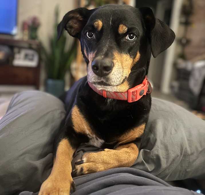 Photo of Lanie