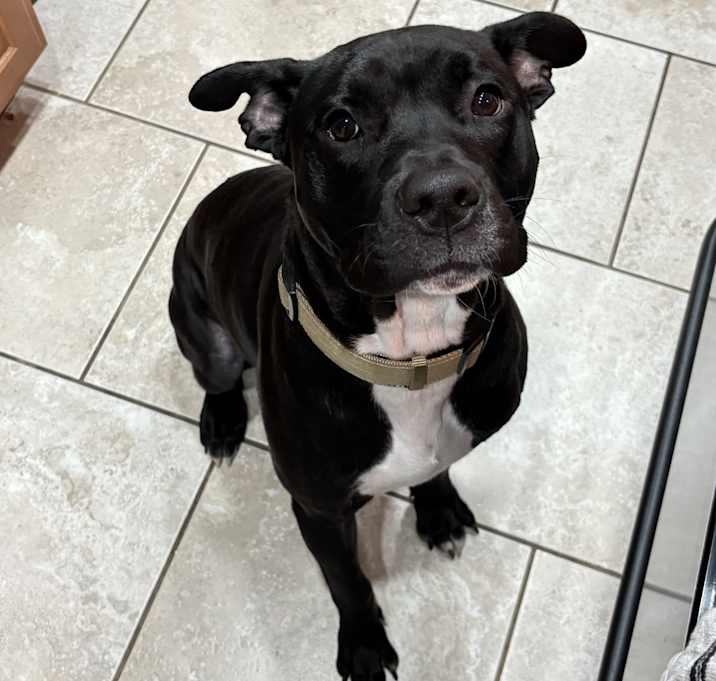 Photo of Murphy