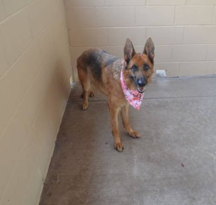 Photo of Cindy