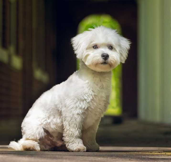 Photo of Armani