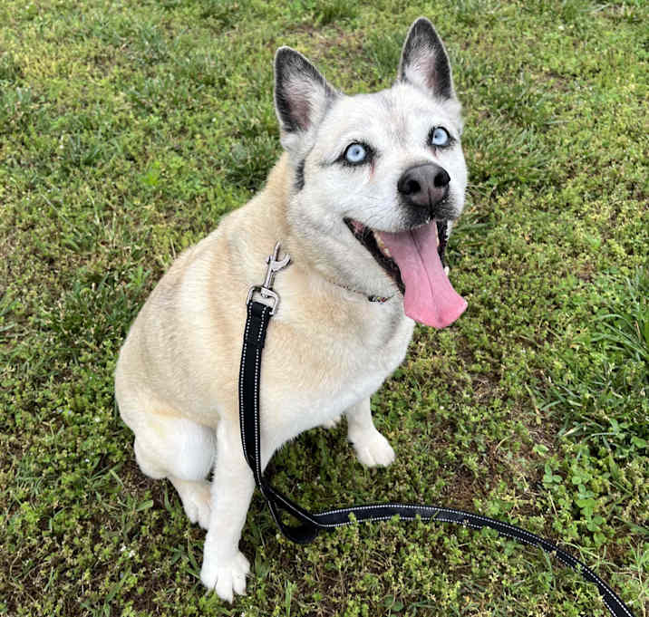 Photo of Precious