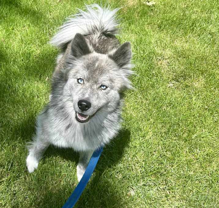 Photo of Rocky
