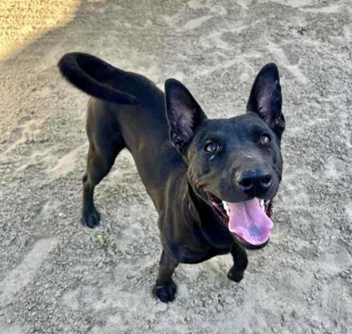 Photo of MATILDA