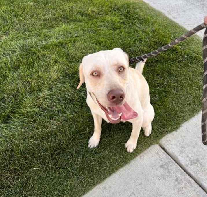 Photo of MURPHY
