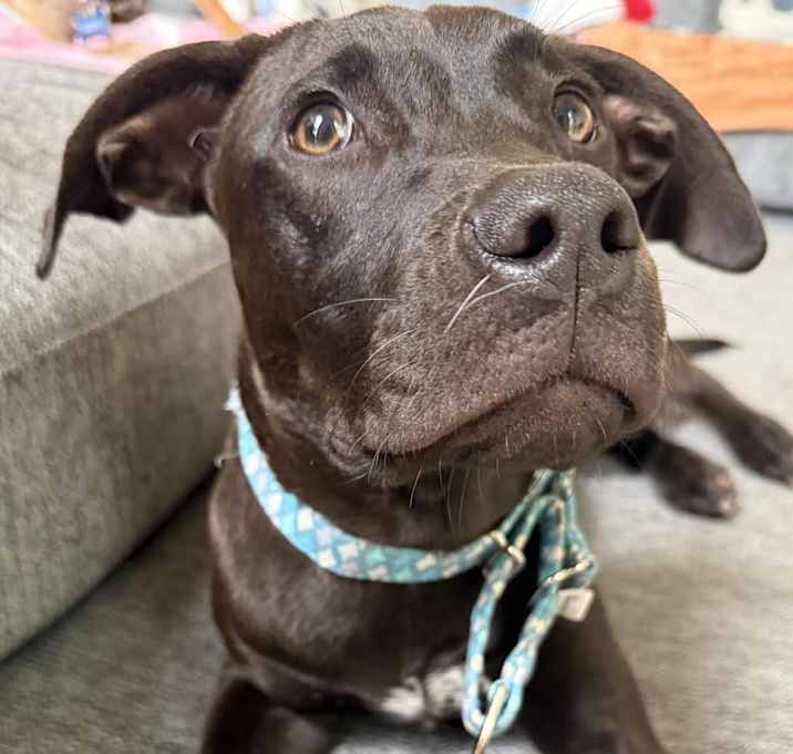 Photo of Andy