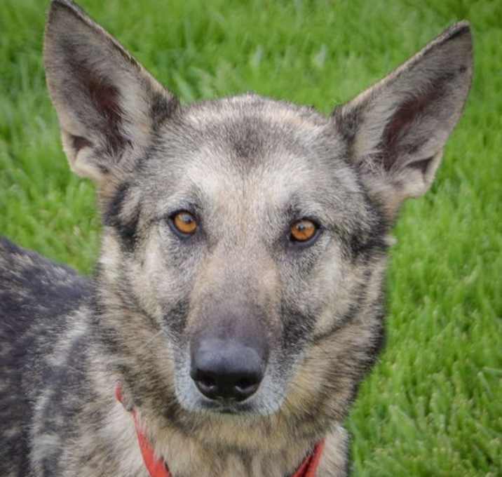 Photo of Cici