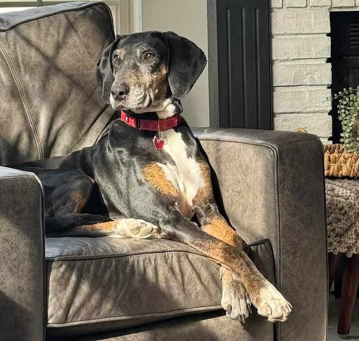 Photo of Thelma Lou