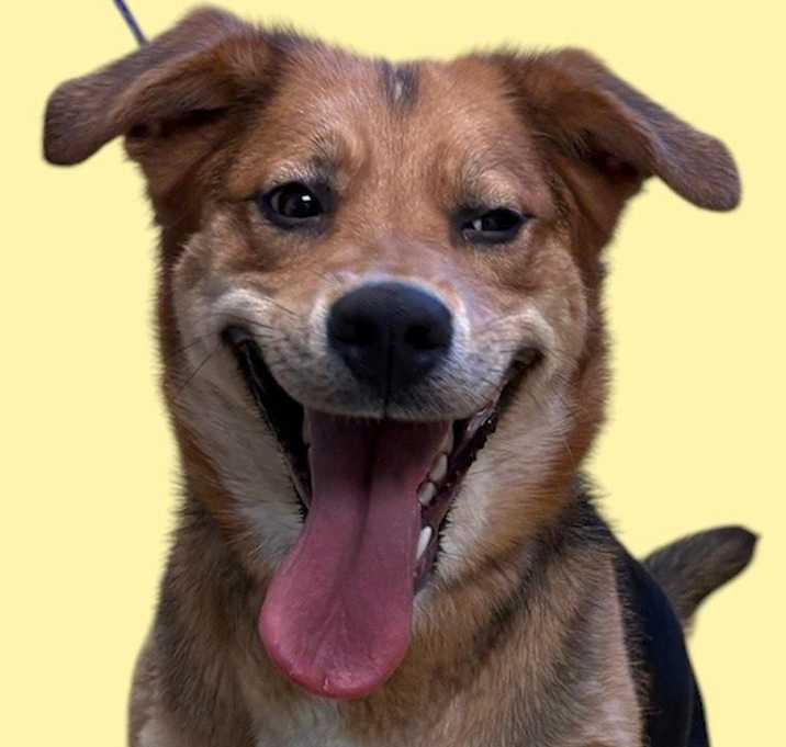 Photo of Rudie