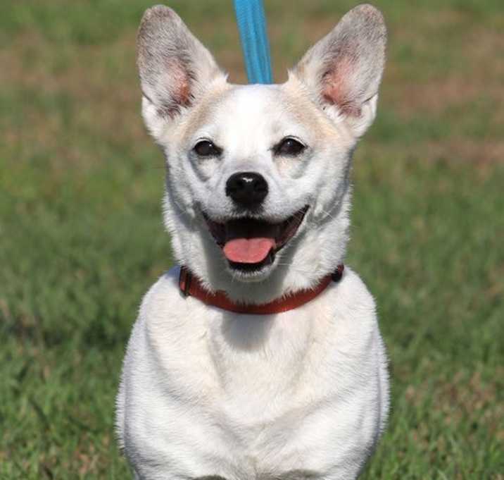 Photo of Jack