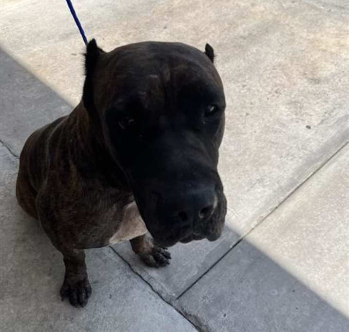 Photo of TANK