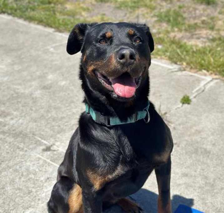 Photo of ROXY