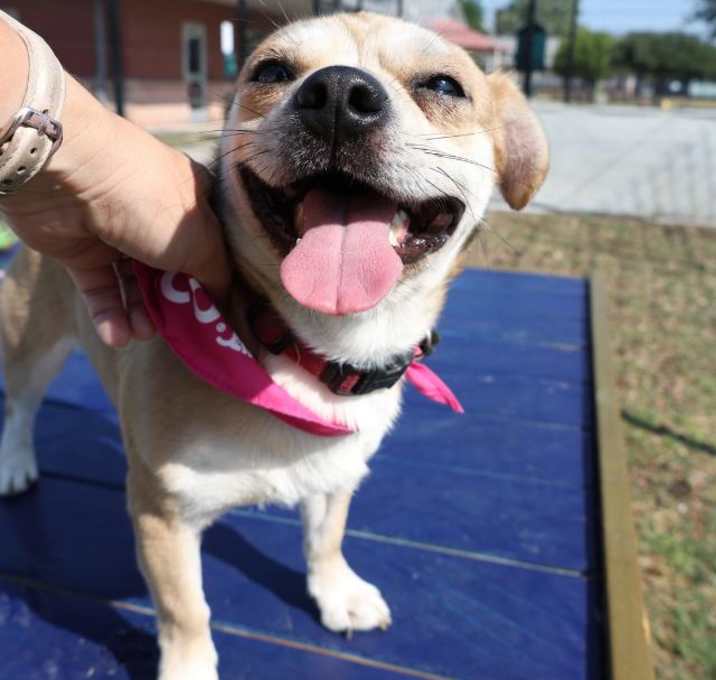 Photo of ROSCOE