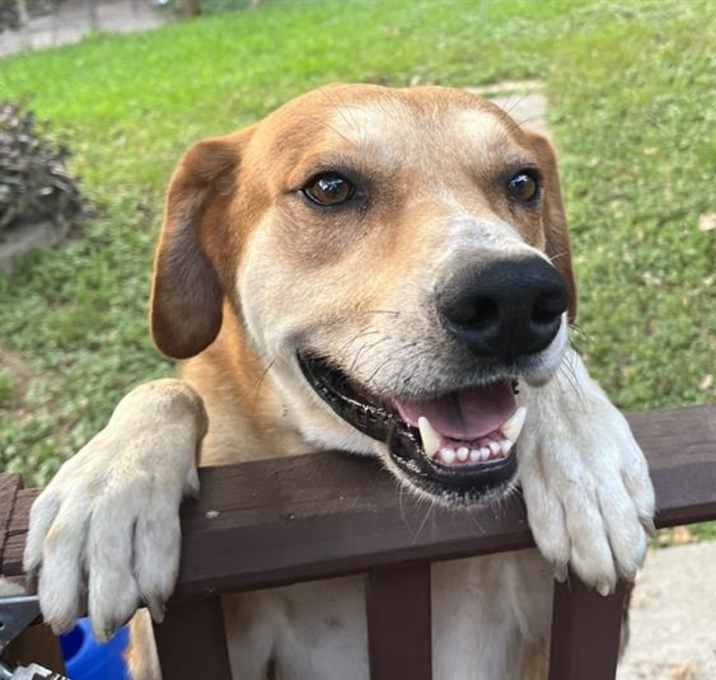 Photo of BRUNO