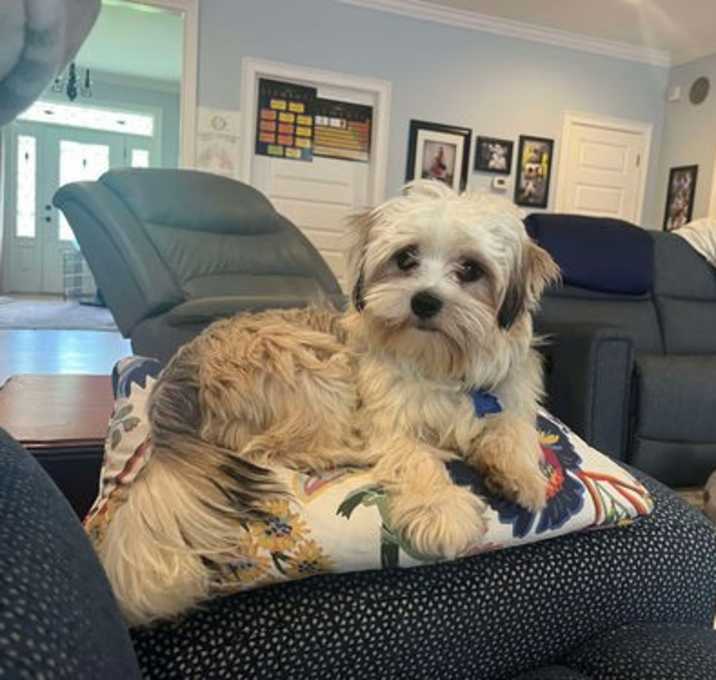Photo of Oscar