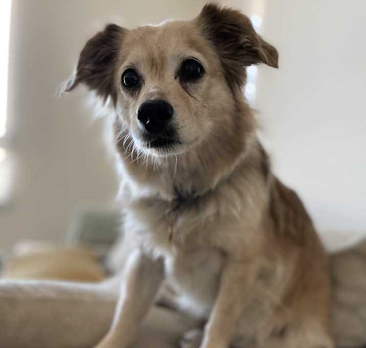 Photo of Riley