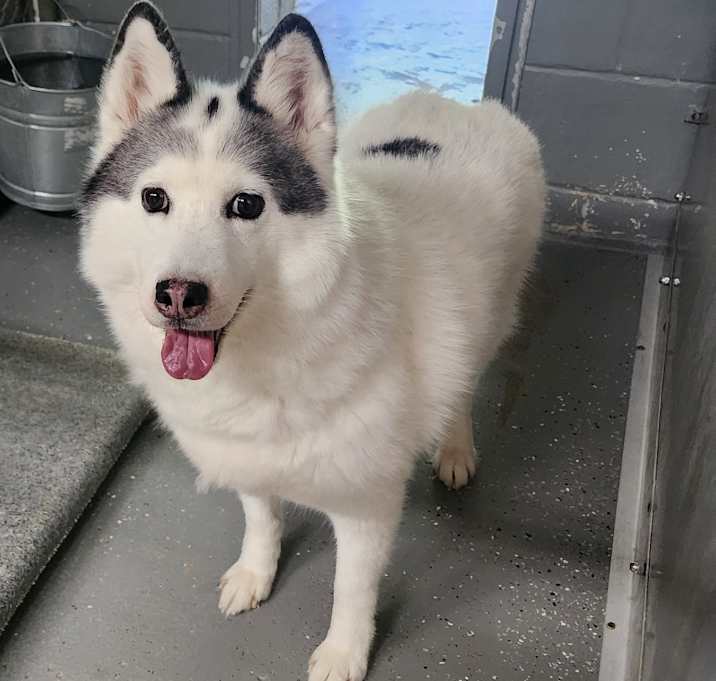 Photo of Lily