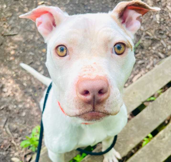 Photo of Penelope