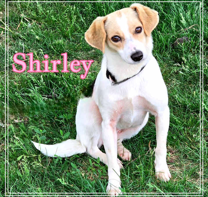 Photo of Shirley