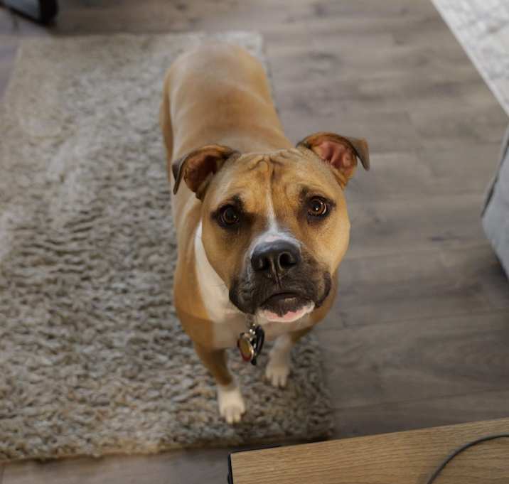 Photo of Cleo