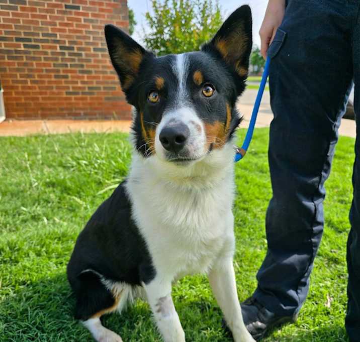 Photo of Buddy