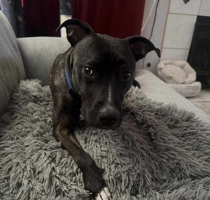 Photo of Benny