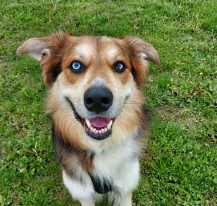 Photo of Bruno
