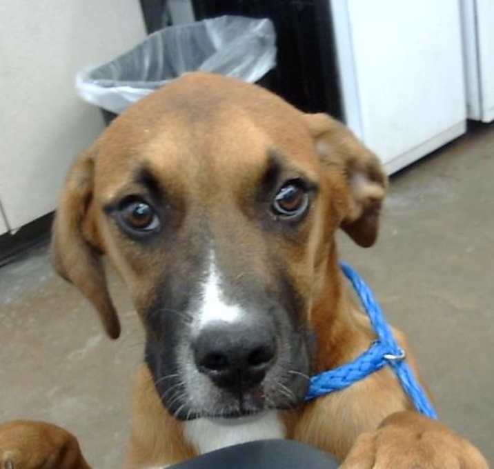 Photo of JUNIE