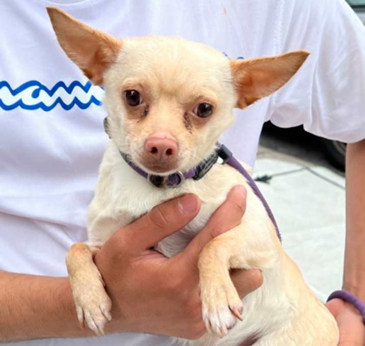 Photo of Charlie