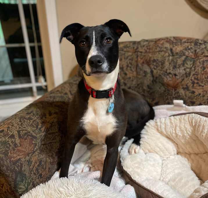 Photo of Lila