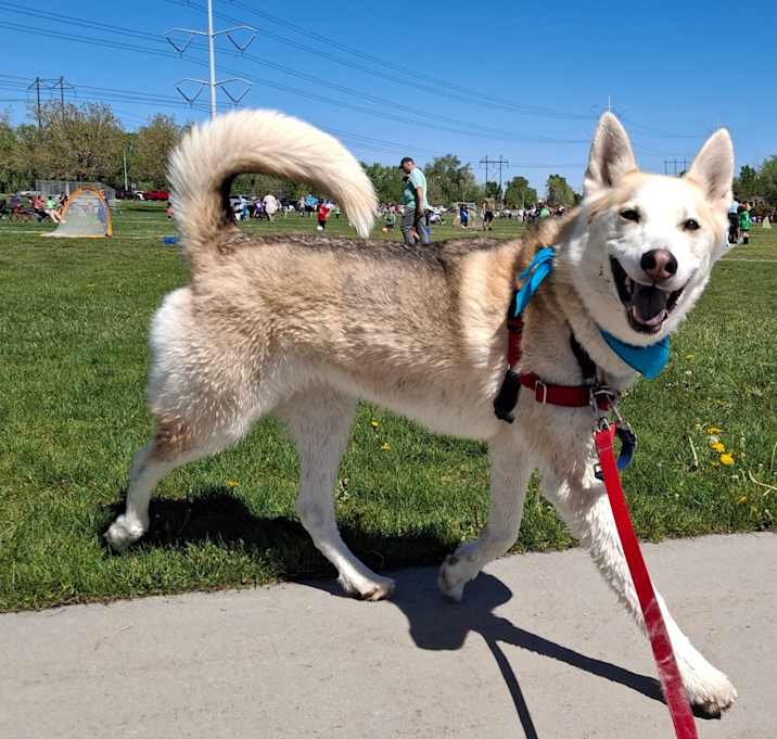 Photo of Trixie