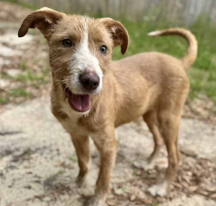Photo of Ducky