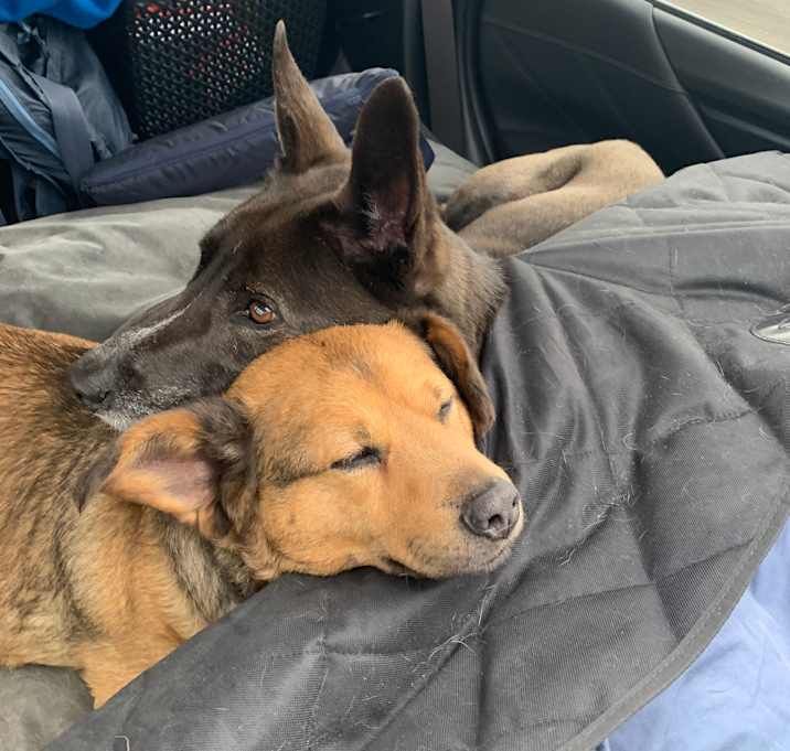 Photo of Kepler and  Major Tom