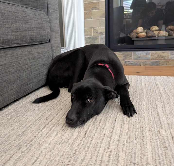Photo of Chloe