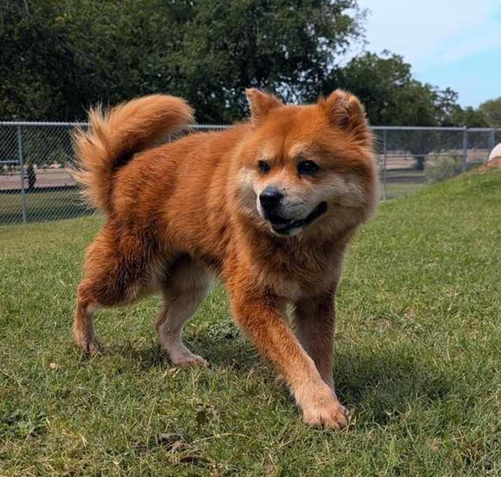 Photo of Bonnie