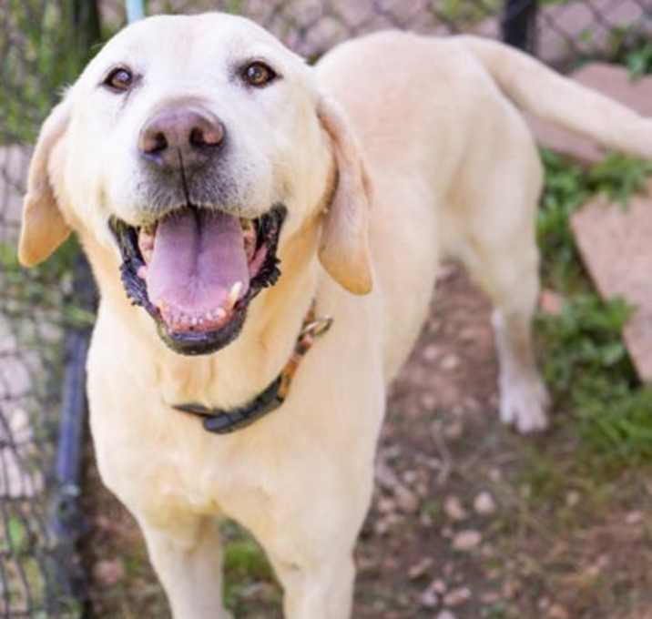 Photo of Keiki (BONDED W LILY)