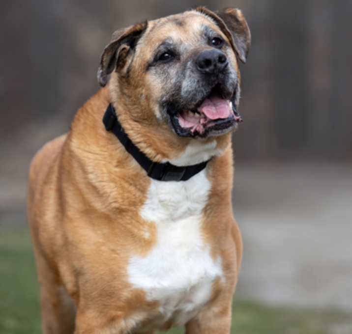 Photo of Bubby - Kitchener