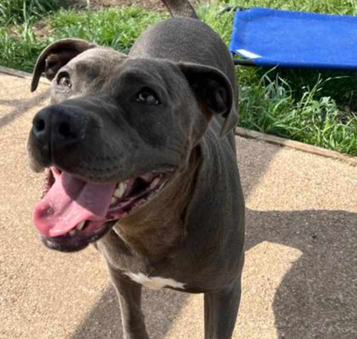 Photo of Nyla