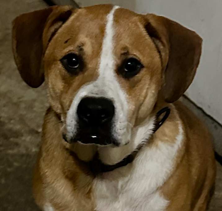 Photo of Mylo