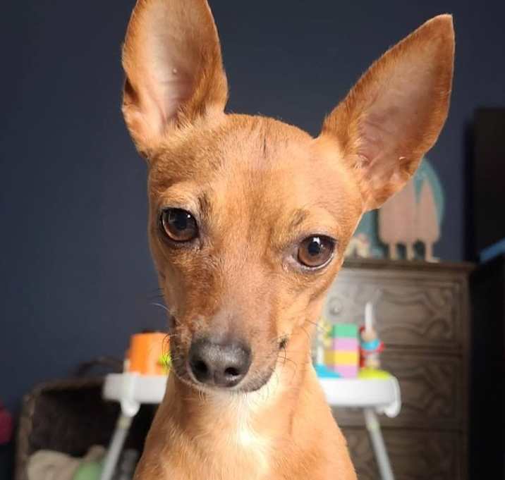 Photo of Chloe